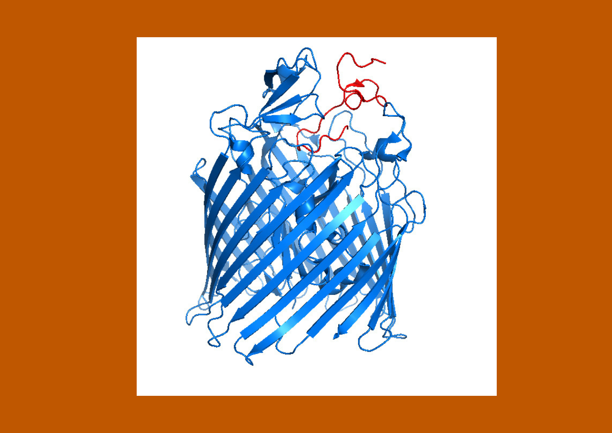 microsin structure