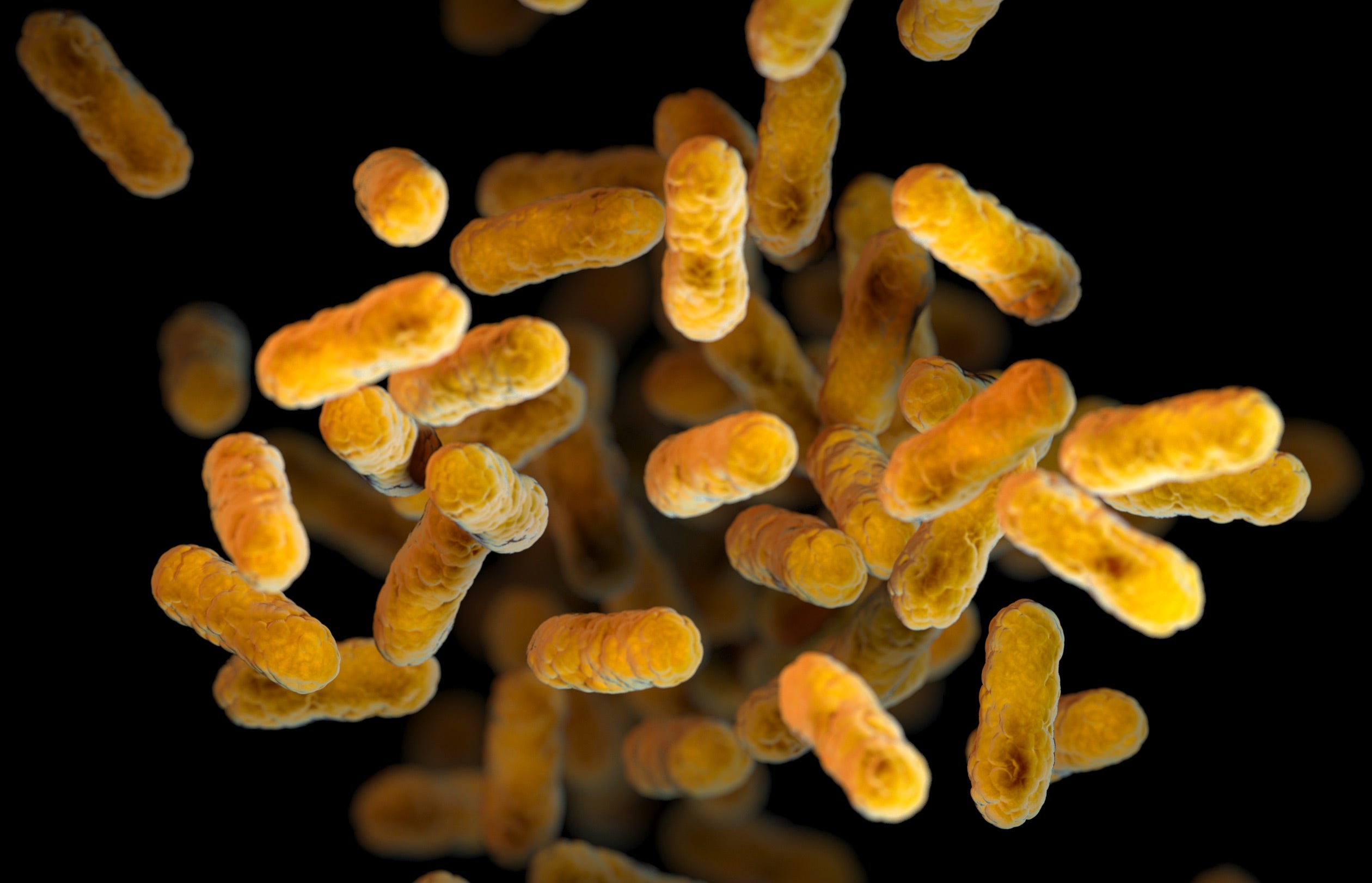 Pertussis